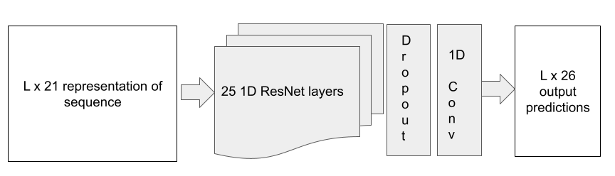 Model Architecture